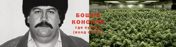 каннабис Краснотурьинск
