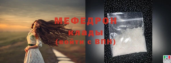 стаф Инта