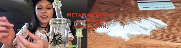 стаф Инта