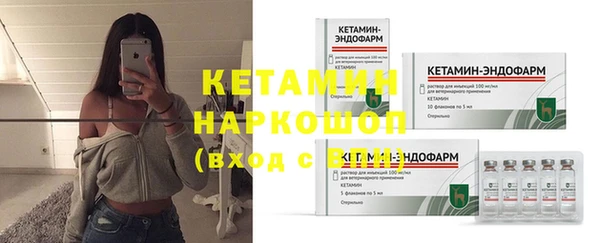 сатива Инсар