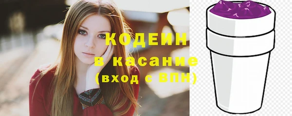 стаф Инта