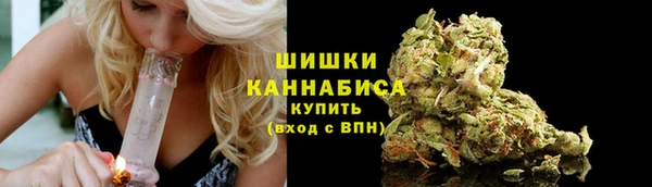 сатива Инсар