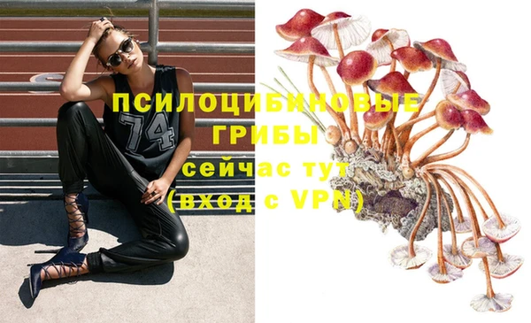 каннабис Краснотурьинск