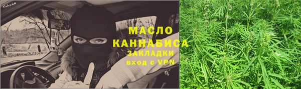 сатива Инсар