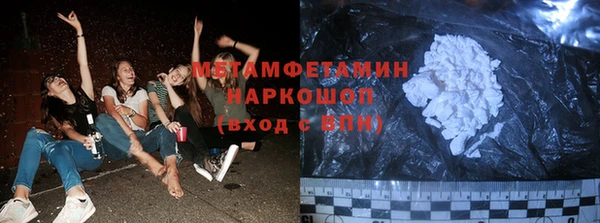 индика Кулебаки